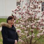 doamna cu magnolia