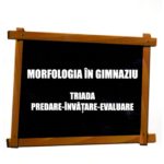 coperta carte OAna Antal