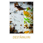coperta-Destainuiri