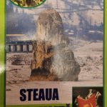 Steaua-blestemată