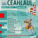 Afis Festival