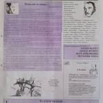 Revista Plumb