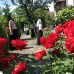 IMG_4842 (1)